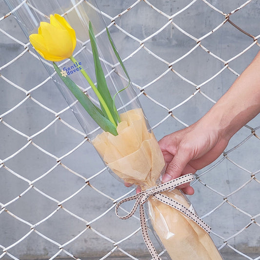 Single Yellow Tulip in Cylinder Wrapping Minimal Bouquet