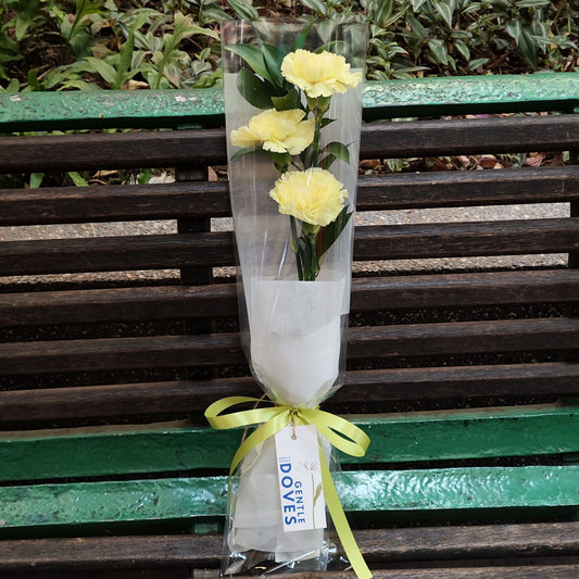 Three Yellow Carnations in Cylinder Bouquet