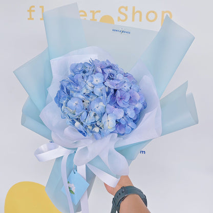 Single Blue Hydrangea in Soft Blue Paper Bouquet