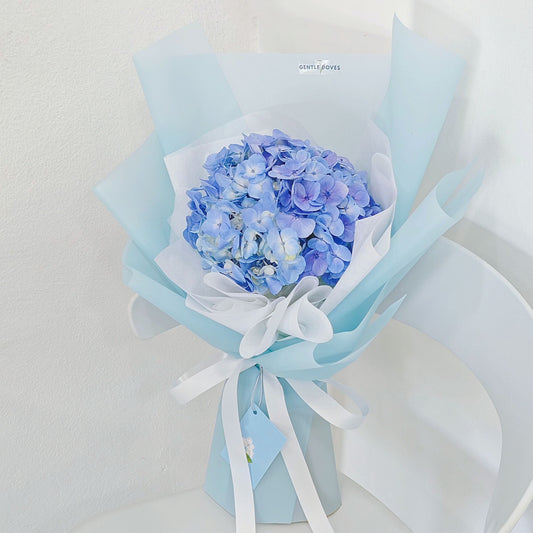 Single Blue Hydrangea in Soft Blue Paper Bouquet
