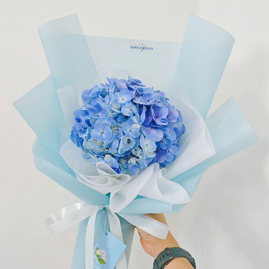 Single Blue Hydrangea in Soft Blue Paper Bouquet