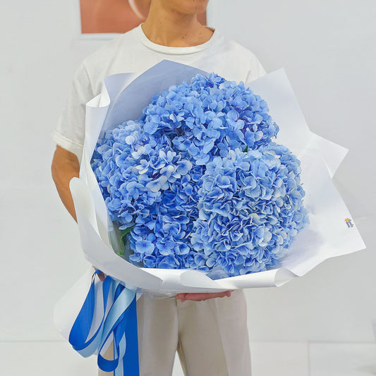 Imported Soft Blue Hydrangeas Extra Large Bouquet