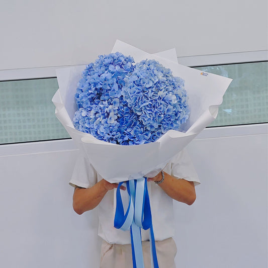 Imported Soft Blue Hydrangeas Extra Large Bouquet