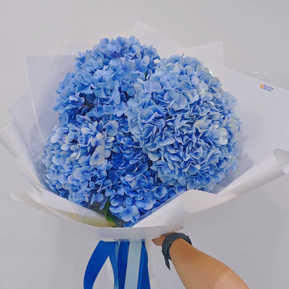 Imported Soft Blue Hydrangeas Bouquet