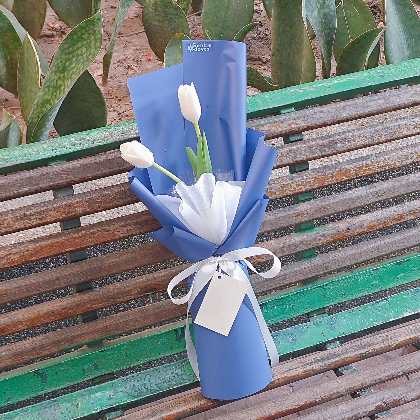 Two White Tulips in Blue Paper Bouquet