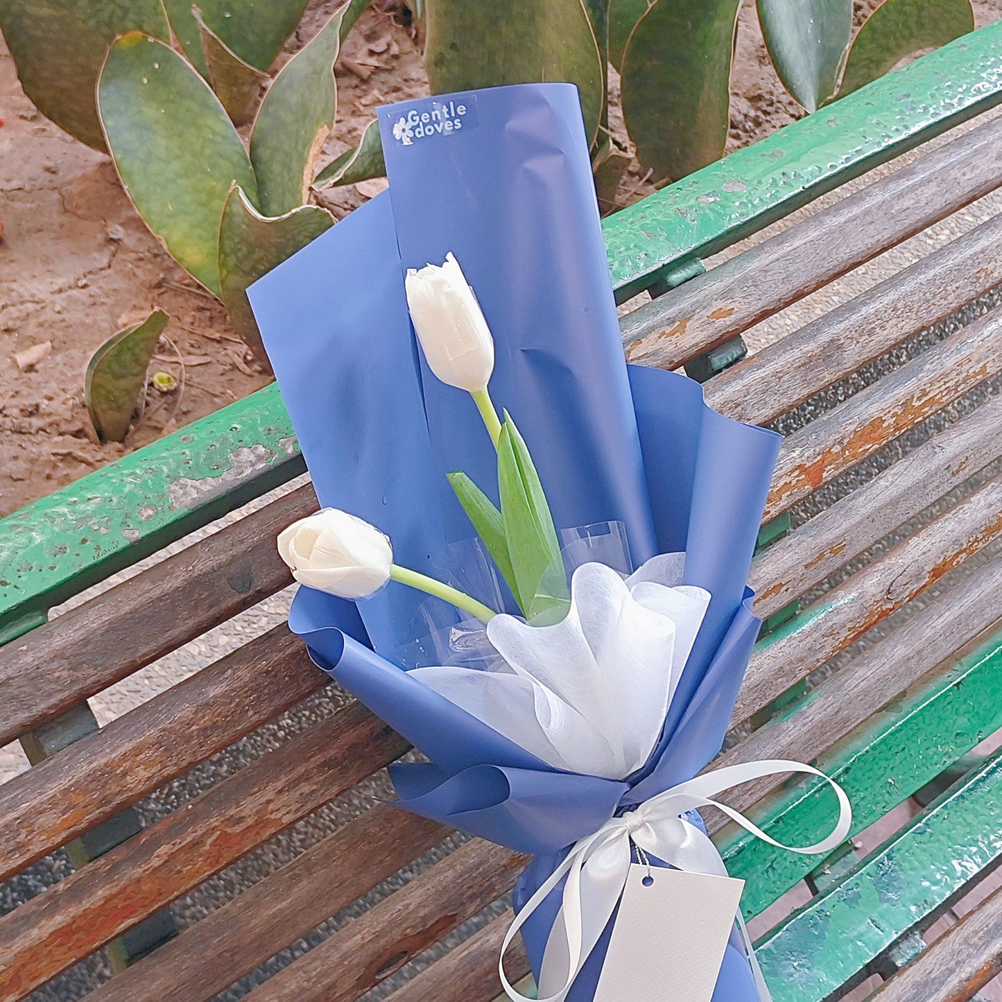 Two White Tulips in Blue Paper Bouquet