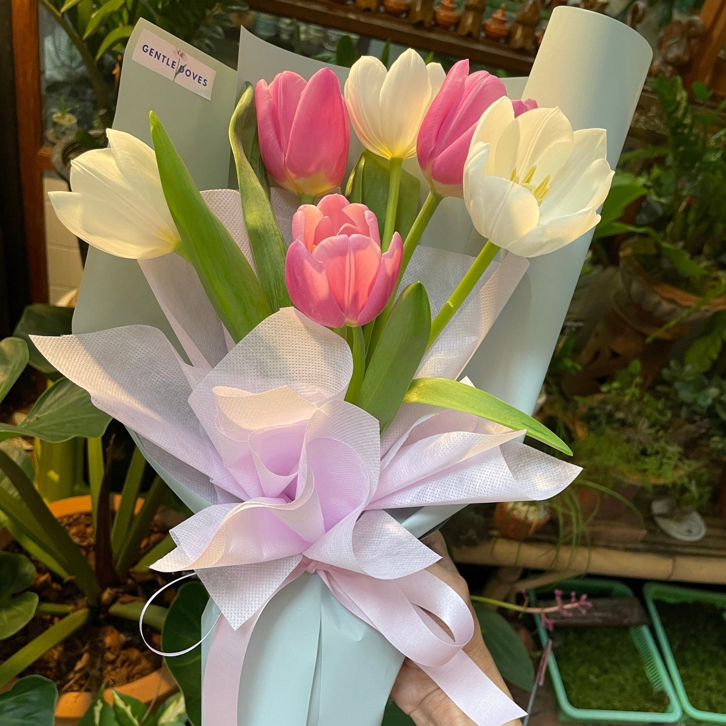 Six White and Pink Tulips Minimal Bouquet