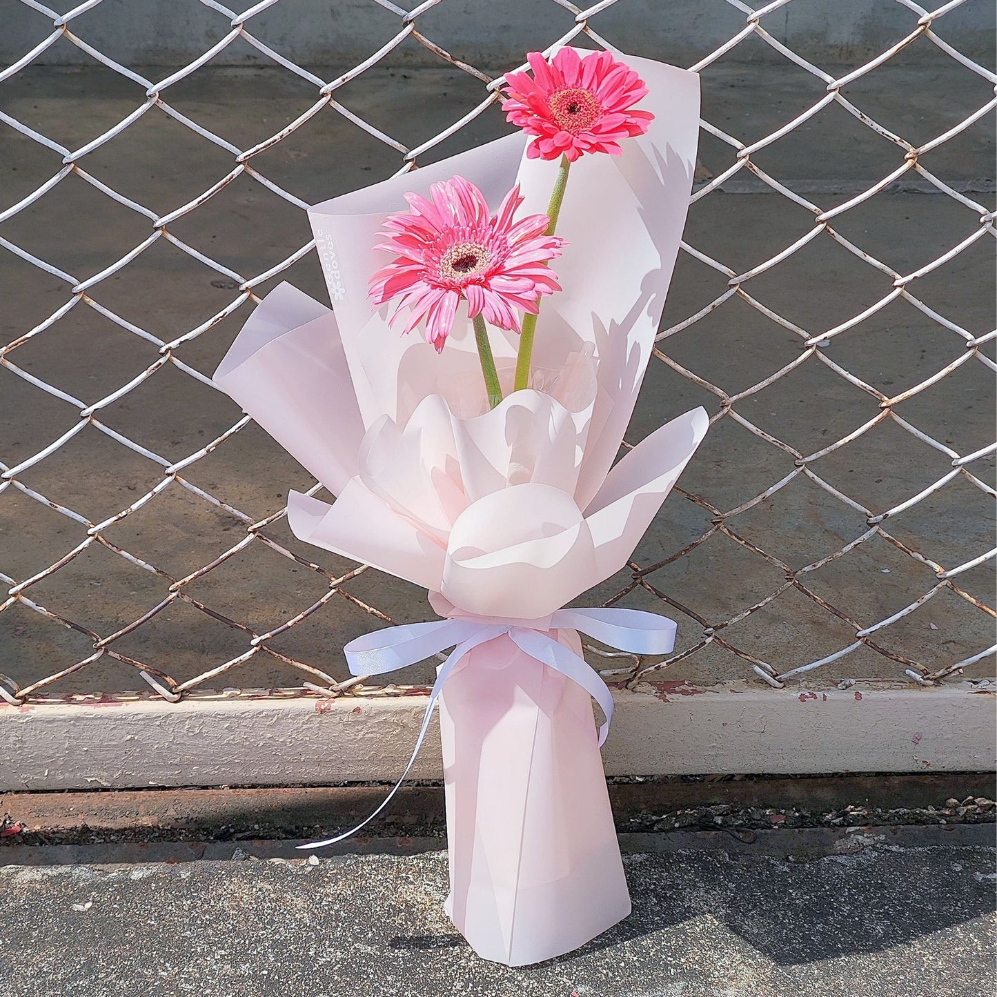 Two Pink Gerberas Minimal Bouquet