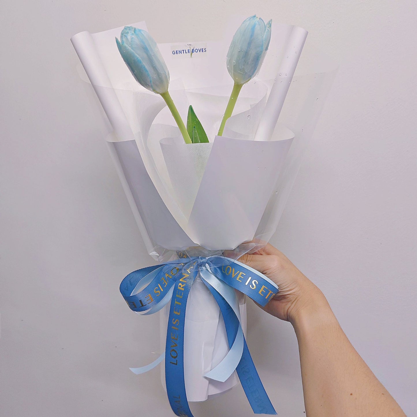 Two Dyed Blue Tulips in White Paper Minimal Bouquet