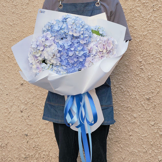 Eight Soft Blue Hydrangeas Extra Large Bouquet