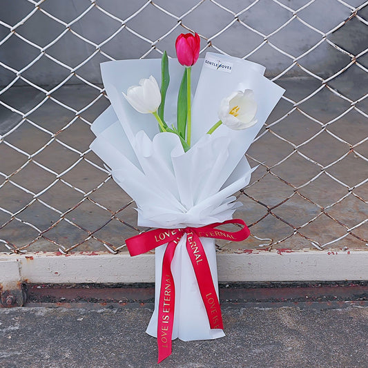 Single Red Tulip with Two White Tulip in White Paper Bouquet