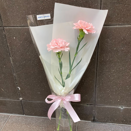 Two Soft Pink Carnations Minimal Bouquet