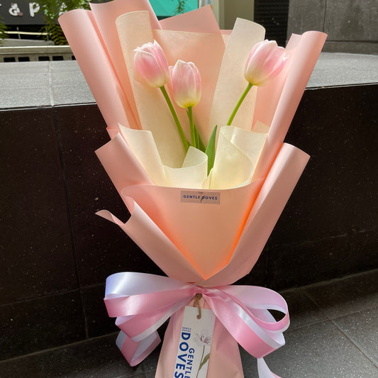 Three Soft Pink Tulips in Pink Paper Bouquet