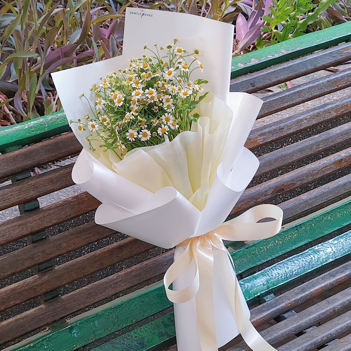 Daisies in Soft Yellow and White Paper Medium Size Bouquet