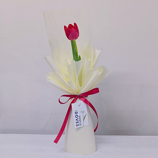 Single Red Tulip in Soft Cream Yellow Paper Bouquet