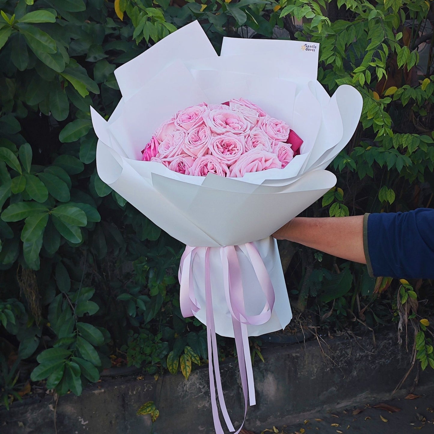 Twenty Soft Pink English Roses in White Paper Bouquet