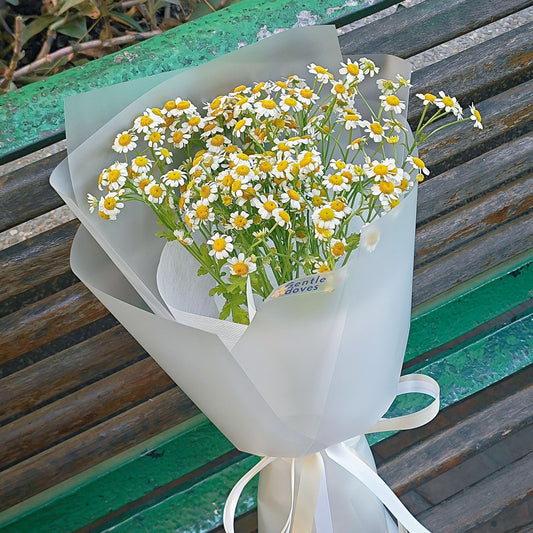 Daisies in Matte Paper Small Bouquet