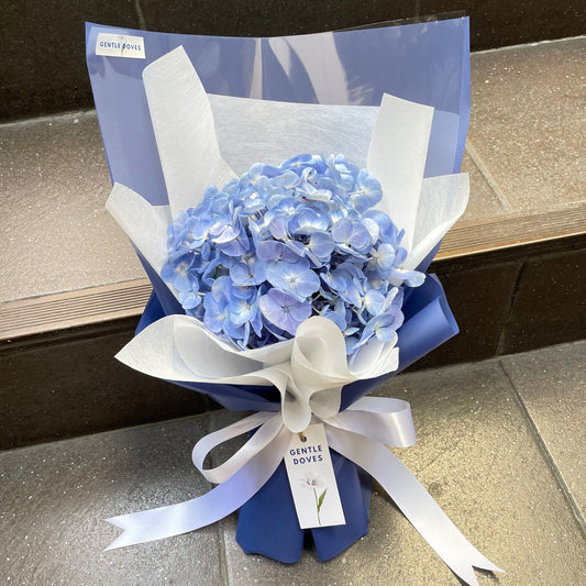 Single Blue Hydrangea in Blue Paper Bouquet