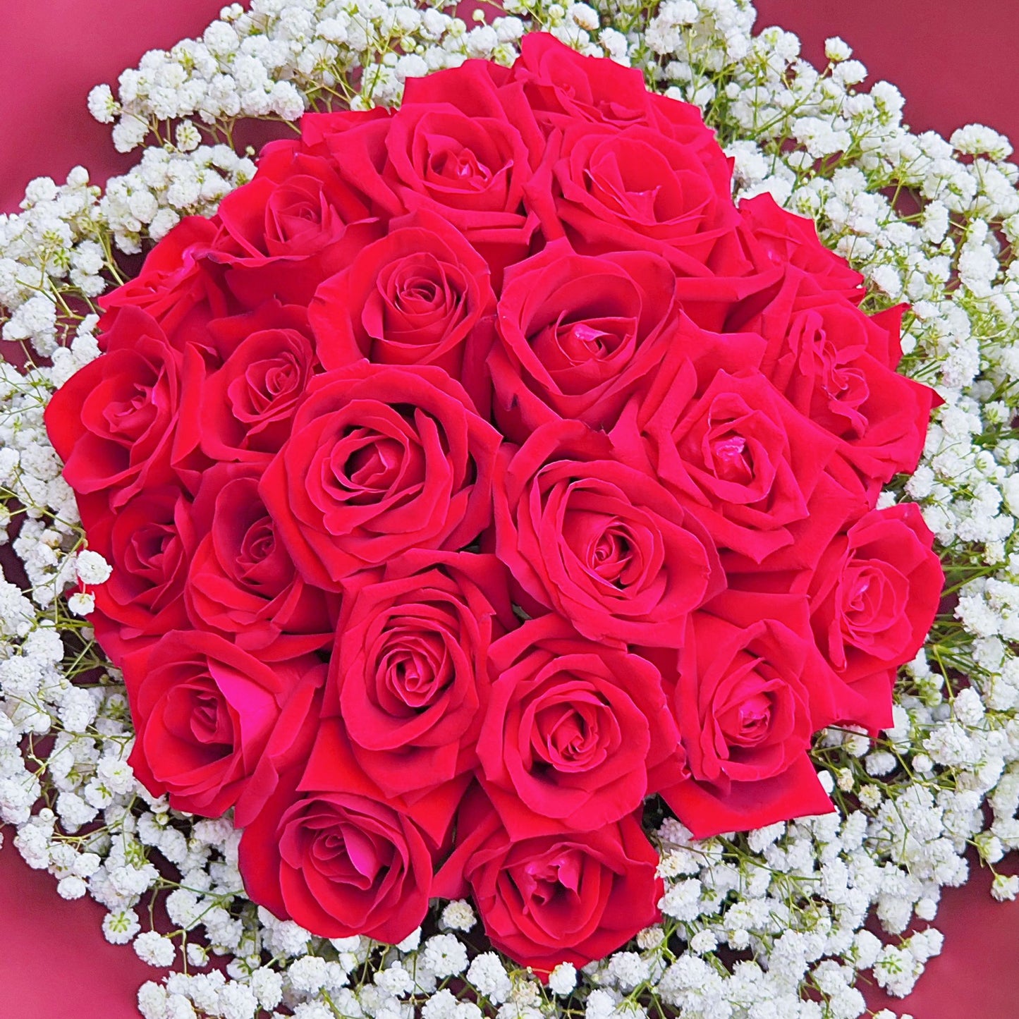 Twenty Four Red Roses Surrouded with Gypsophila in Red Paper Bouquet