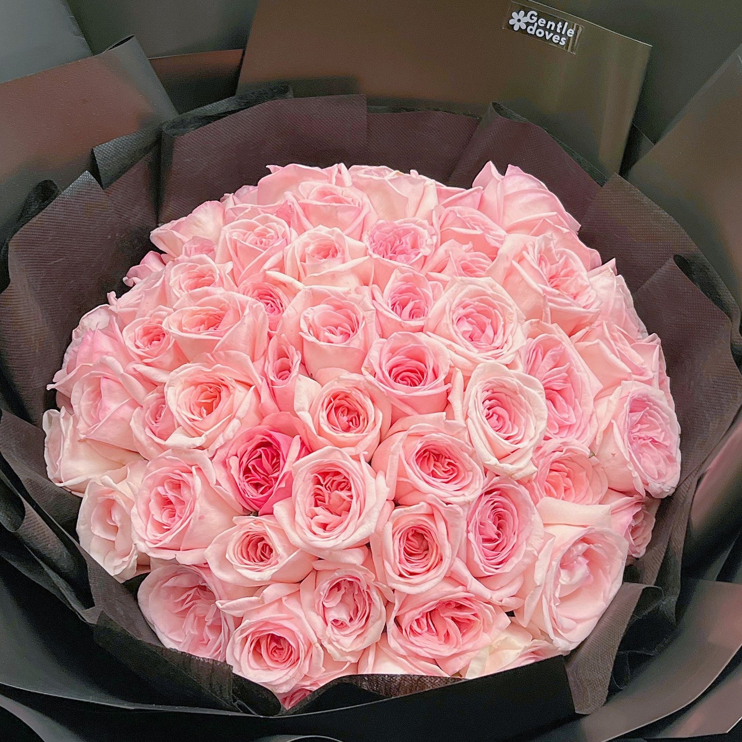 Seventy Soft Pink English Roses in Black Paper Bouquet