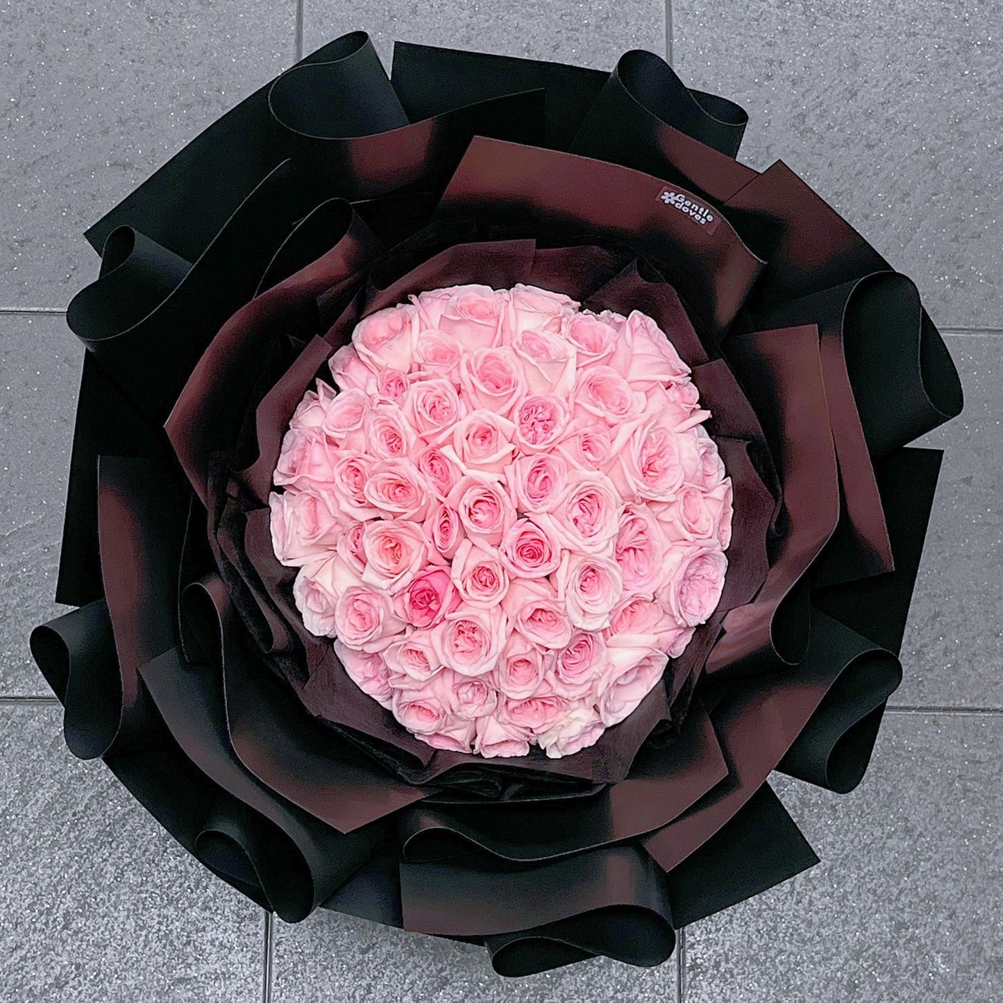 Seventy Soft Pink English Roses in Black Paper Bouquet