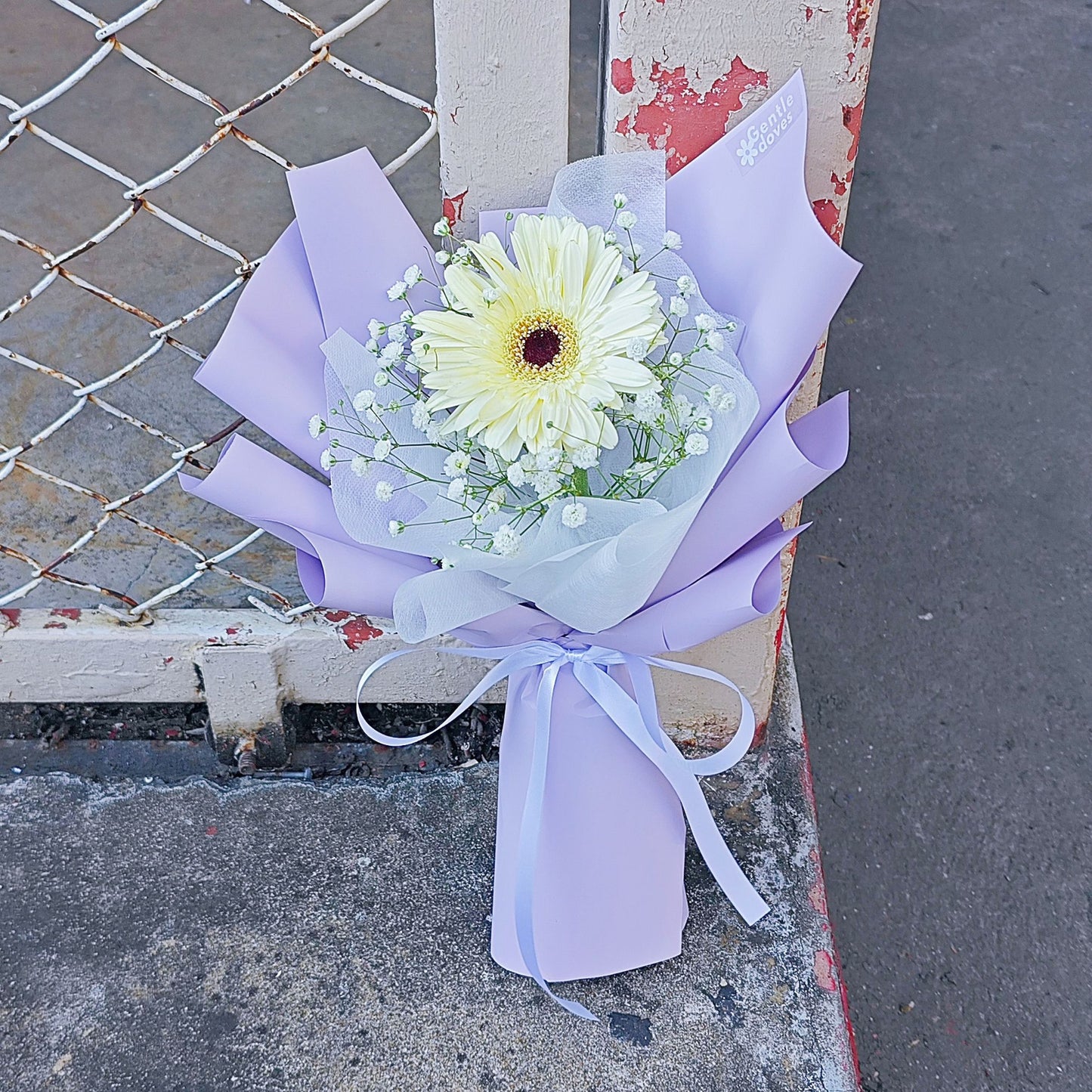 Single White Gerbera with Gypsophila in Pastel Paper Minimal Bouquet