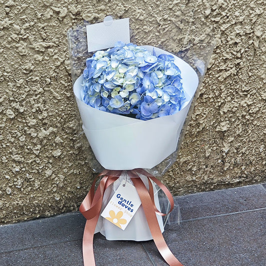 Single Blue Hydrangea in White Paper Minimal Bouquet