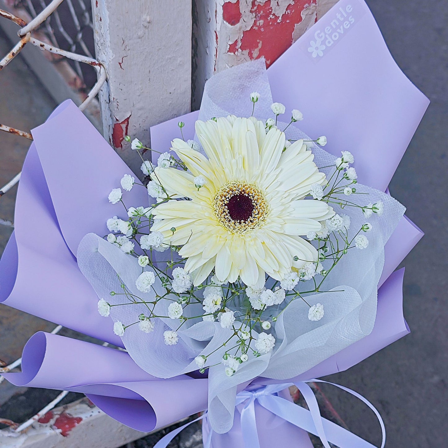 Single White Gerbera with Gypsophila in Pastel Paper Minimal Bouquet