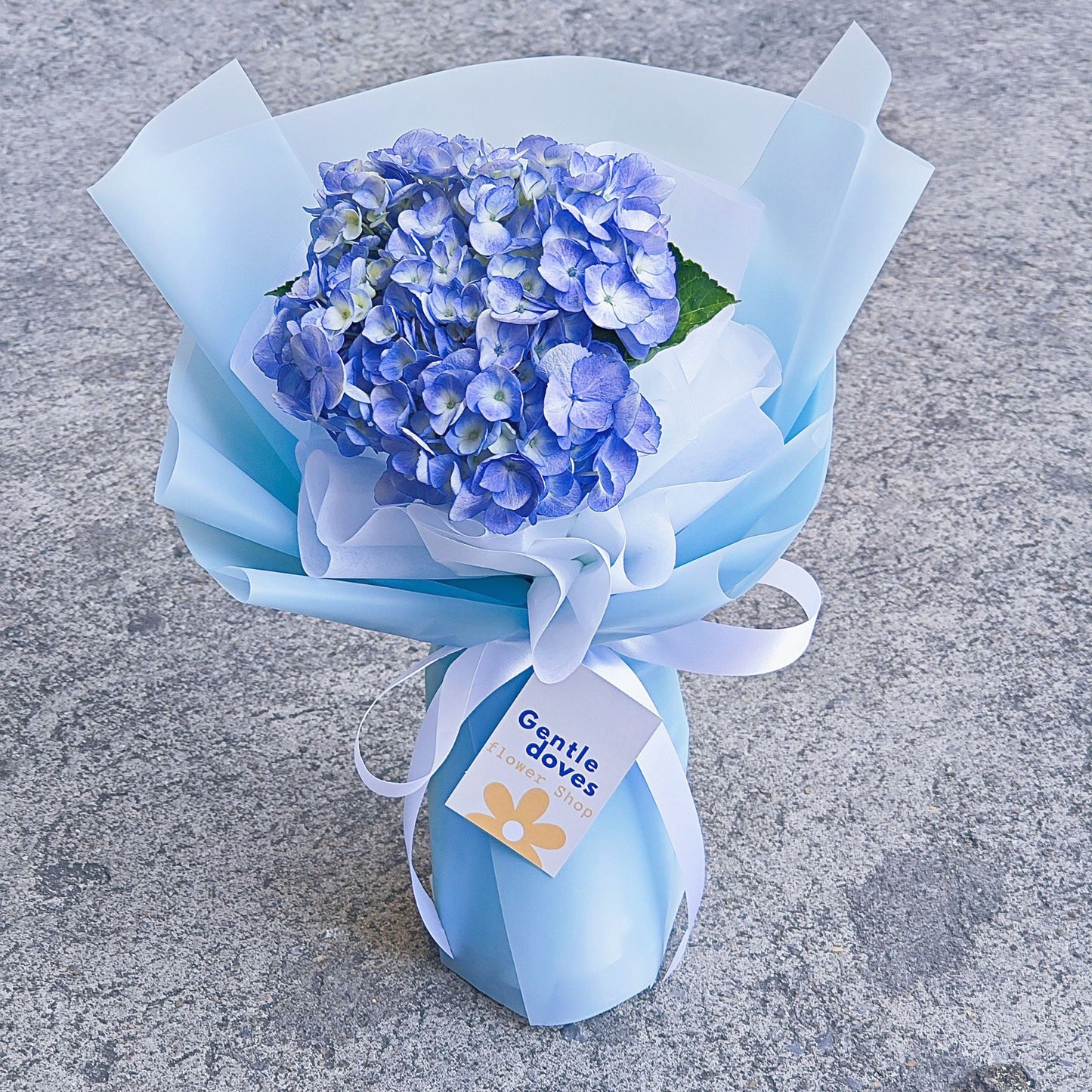 Single Blue Hydrangea in Soft Blue Paper Bouquet