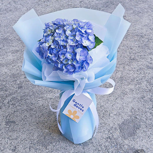 Single Blue Hydrangea in Soft Blue Paper Bouquet