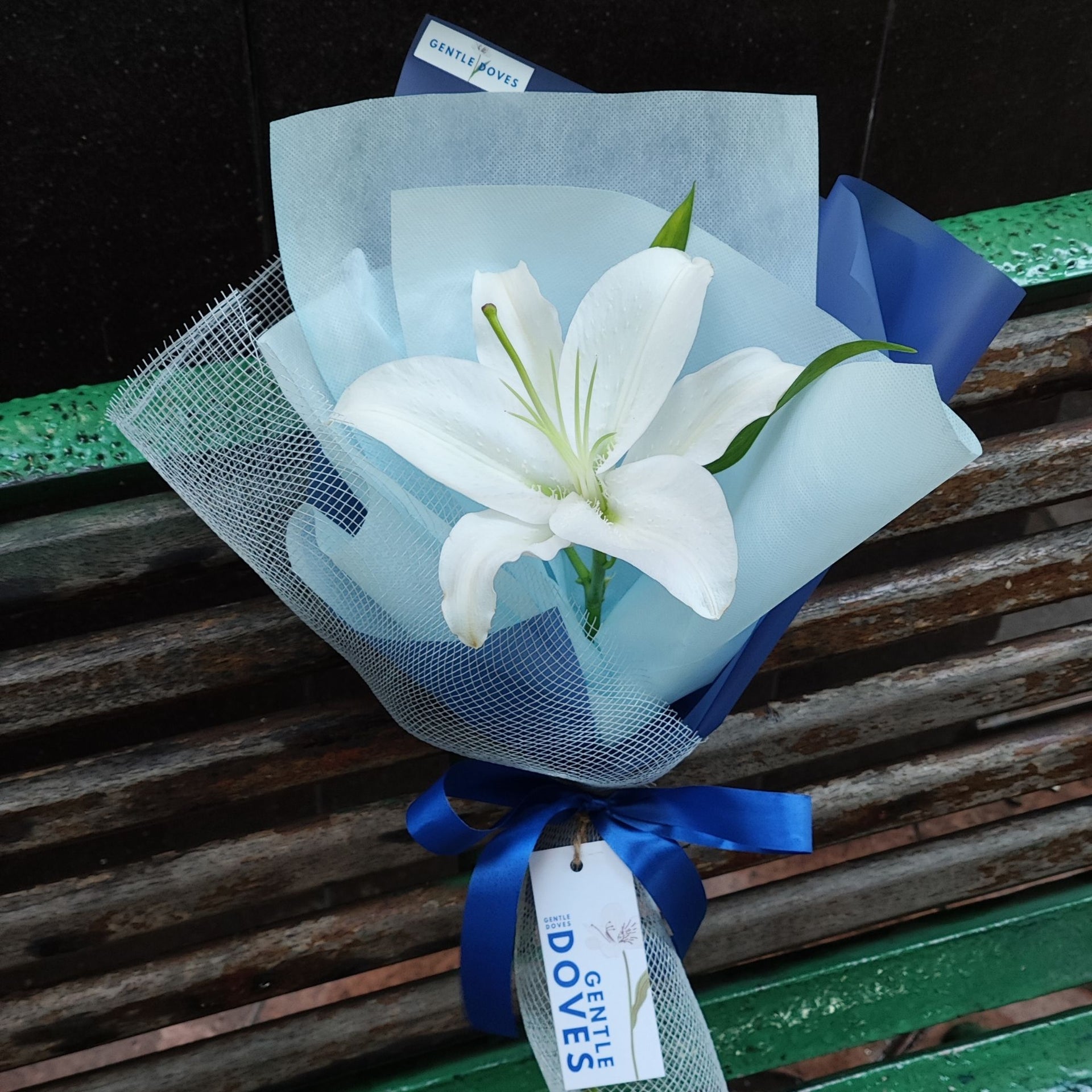Single White Lily in Blue Paper Bouquet – Gentle Doves Flower Shop