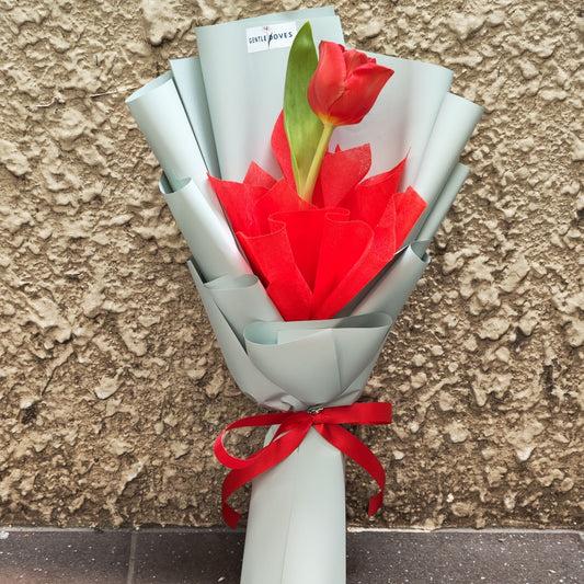 Single Red Tulip Layer Wrapping Bouquet