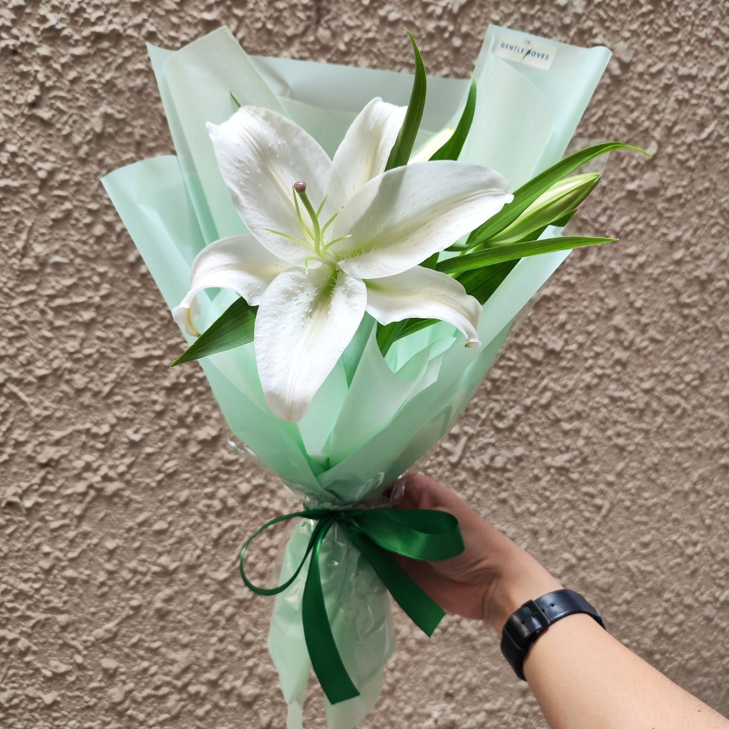 Single White Lily in Green Paper Bouquet