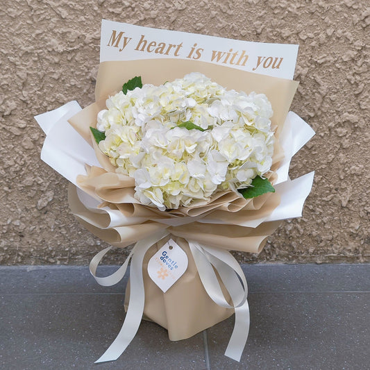 Two White Hydrangeas 'My heart is with you' Bouquet