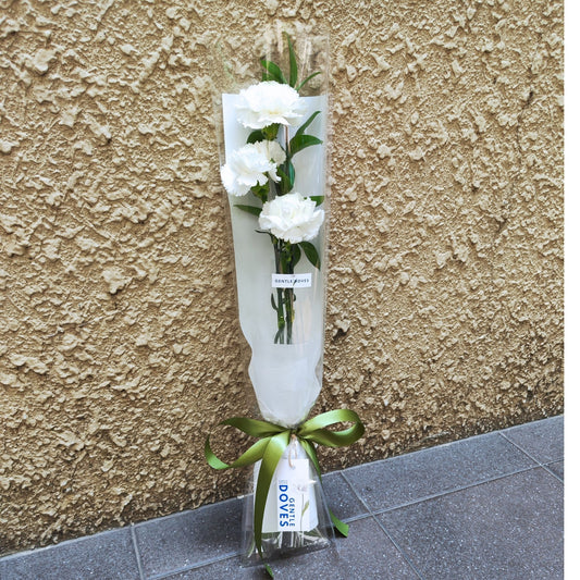 Three White Carnations with Foliage Cylinder Bouquet