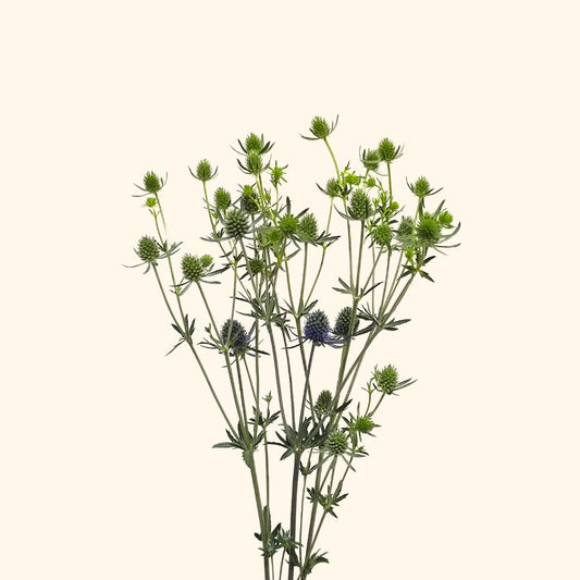 อิรินเจียม