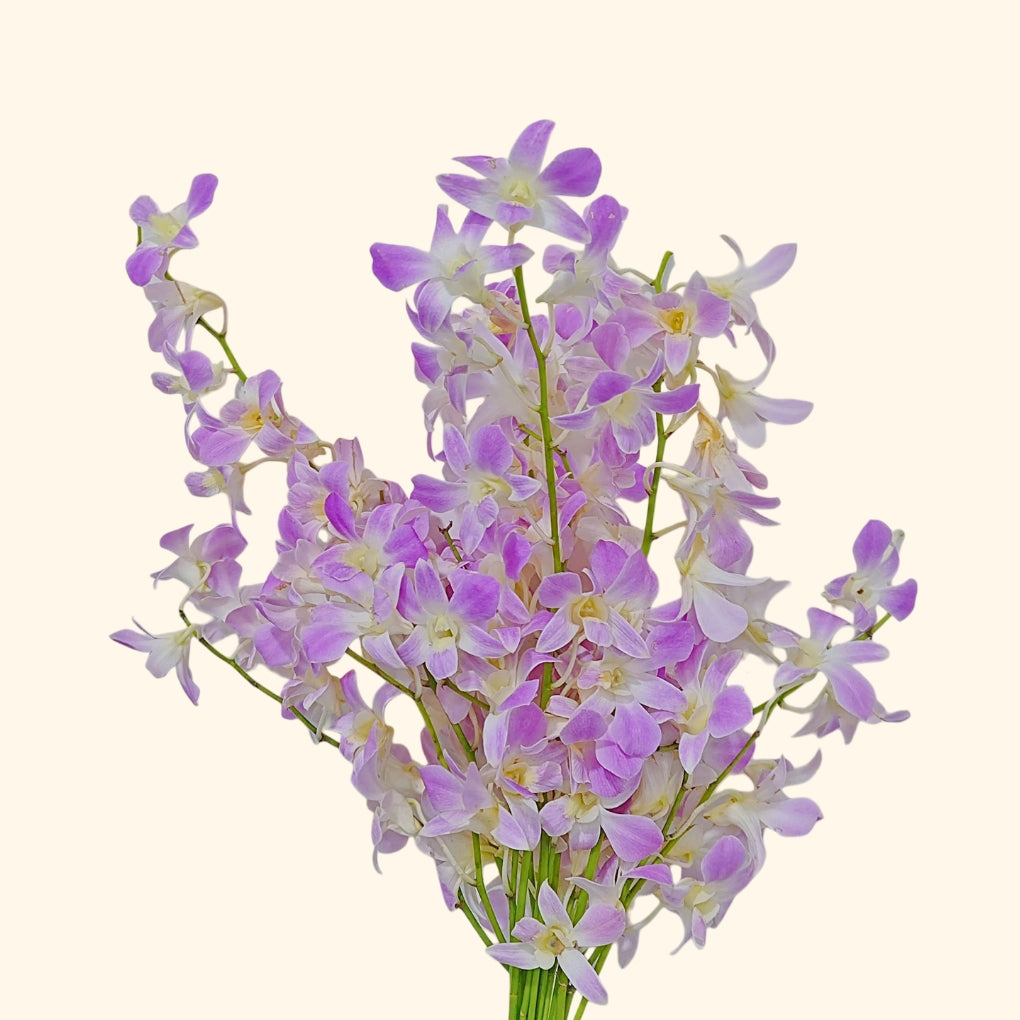 กล้วยไม้