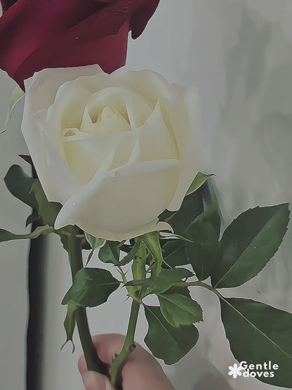 พ่นกลิสเตอร์สีเงิน 